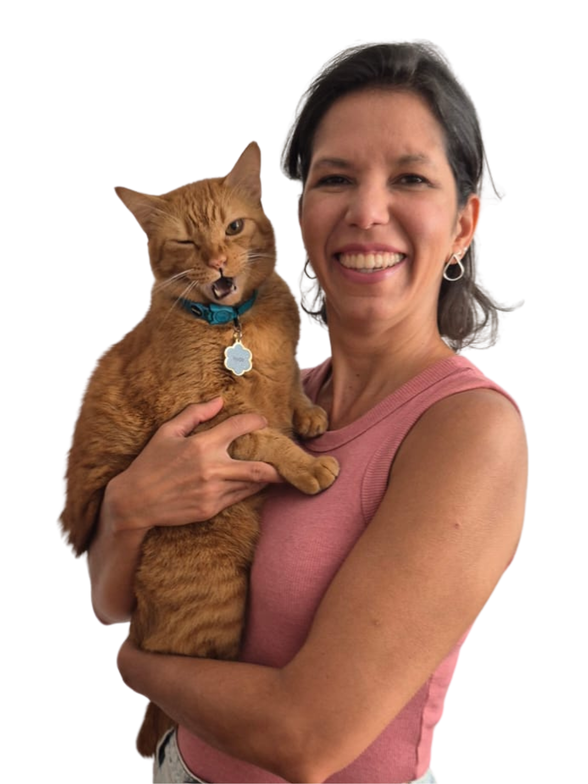 Serviço de Catsitter Rio de Janeiro